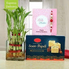 Bamboo Plant Rakhi Combo customer review image