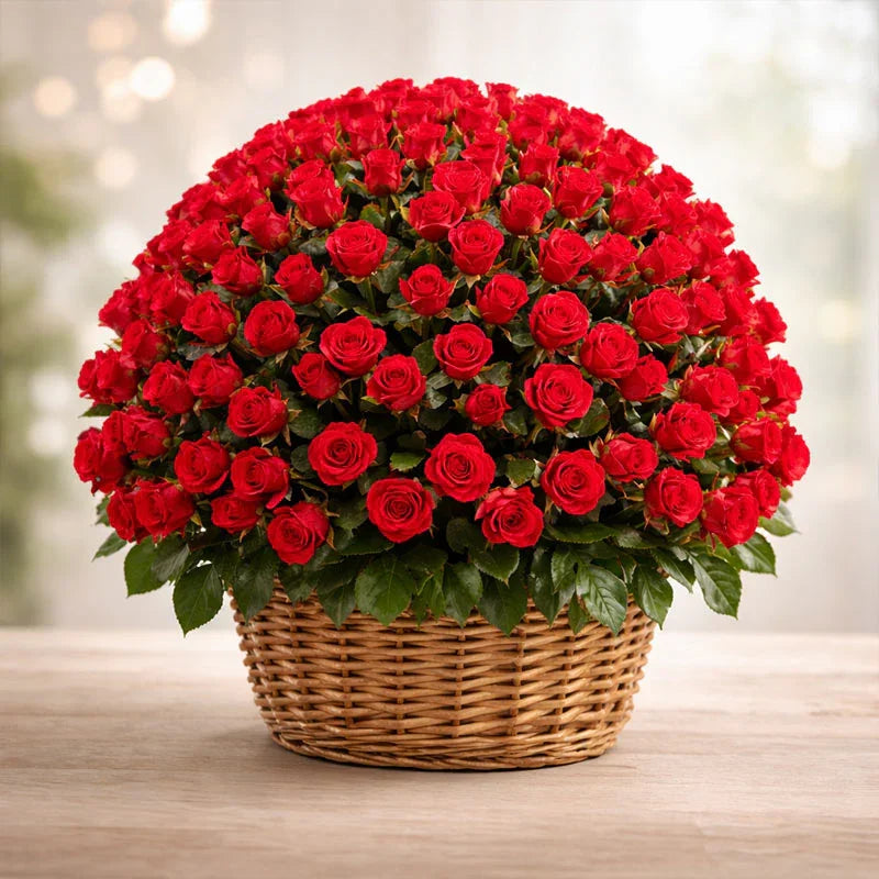 Roses Basket - Extra Large
