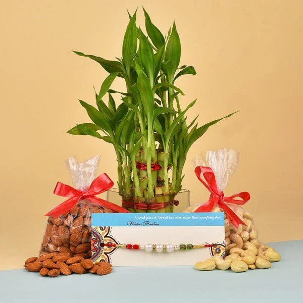 Stylish N Healthy Rakhi Surprise 