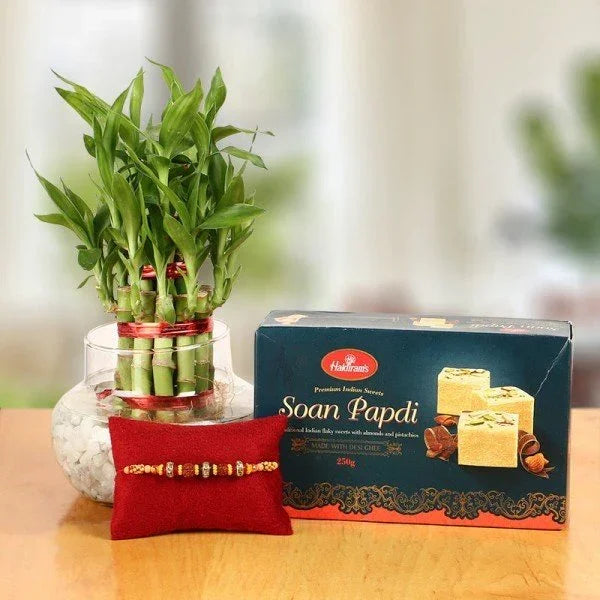 Lucky bamboo plant in glass vase, box of Soan Papdi sweets, and decorative rakhi on table