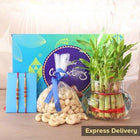 A Brilliant Present customer review image