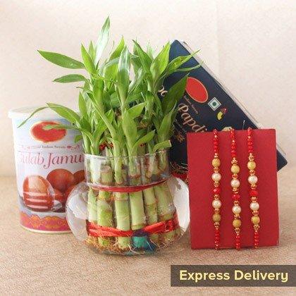 Rakhi gift set with lucky bamboo plant, sweets, and rakhis for online delivery