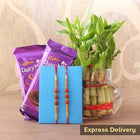 For my Awesome Brothers customer review image
