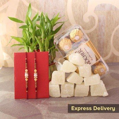 Rakhi gift set with two rakhi threads, lucky bamboo plant, sweets, and chocolates for express delivery