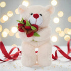 Deluxe Rose Teddy Gift Set customer review image