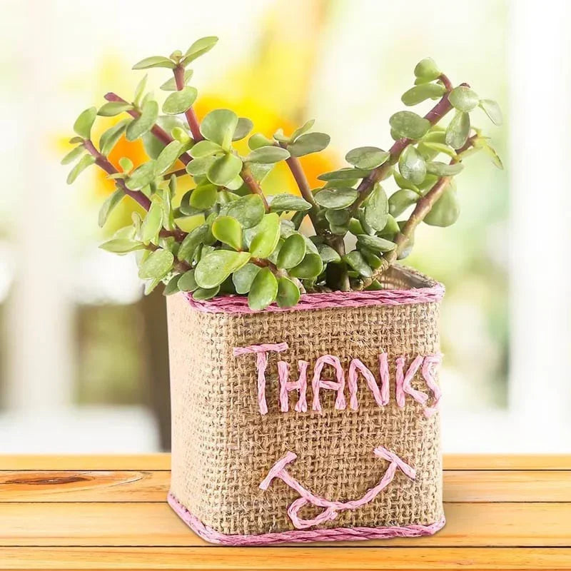 Potted plant with a burlap wrap and 'THANKS' written on it, placed on a wooden surface.