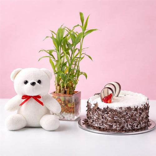 White teddy bear with a red bow, a potted plant, and a cake on a pink background