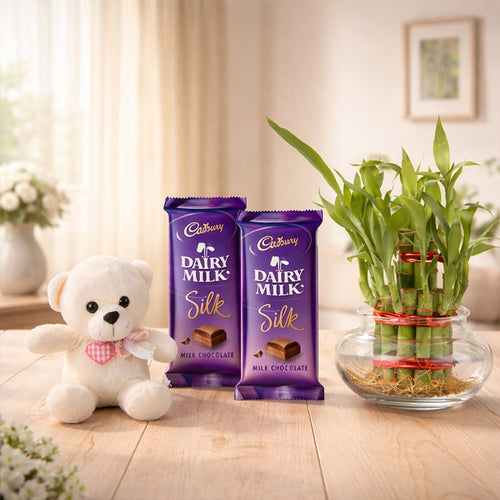 Two Cadbury Dairy Milk Silk chocolate bars with a teddy bear and bamboo plant on a wooden surface.