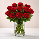 Red Roses in Glass Vase - 12 Roses customer review image