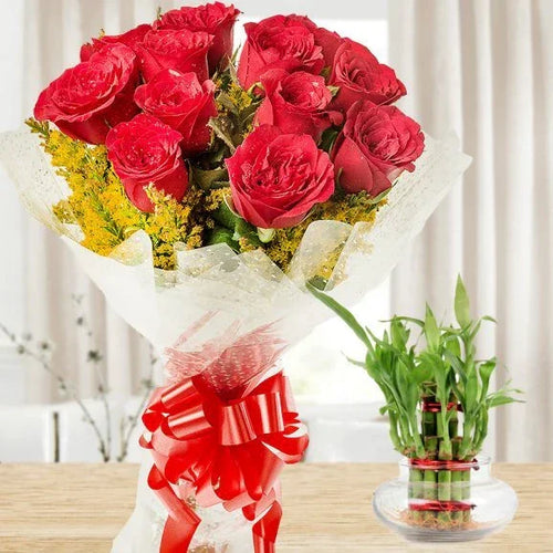 Bouquet of red roses with a red bow and a small bamboo plant 