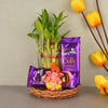Get Well Soon Gifts Same Day Delivery