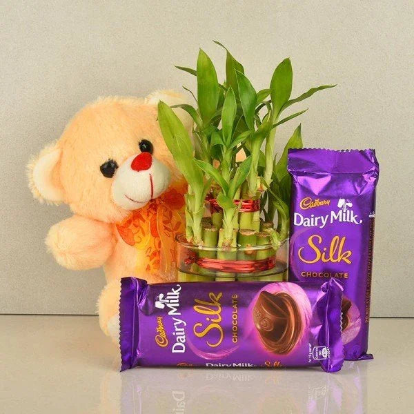 Lucky Bamboo Glass Vase with Teddy & 2 Dairy Milk Silk Chocolates