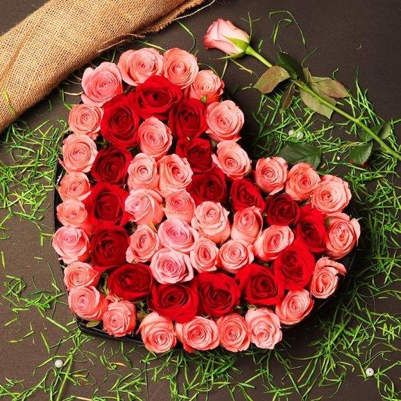 Heart Shape 50 Red & Pink Roses Arrangement - Flower Delivery in GiftsGhaziabad