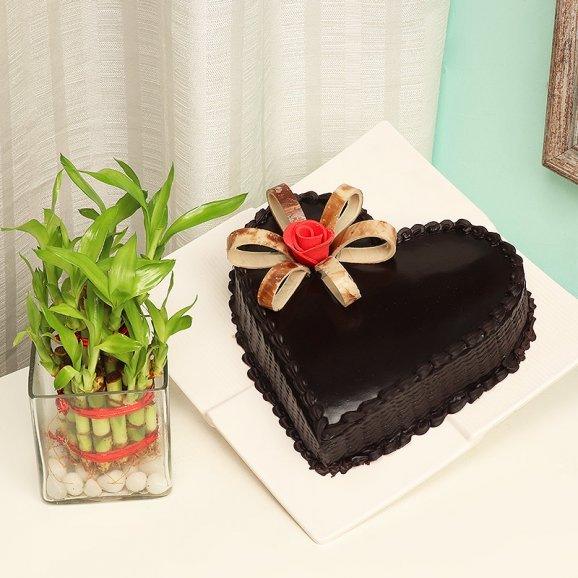 Half Kg Heart Shaped Chocolate Cake with Lucky Bamboo Plant