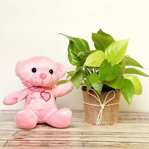 Pink teddy bear with a heart and a green potted plant on a wooden surface.