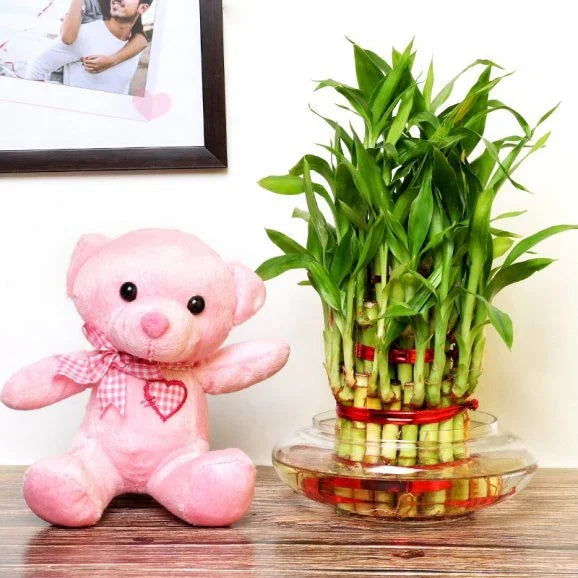 Lucky Bamboo Plant in Potpourri Glass Vase with 6 Inch Pink Teddy