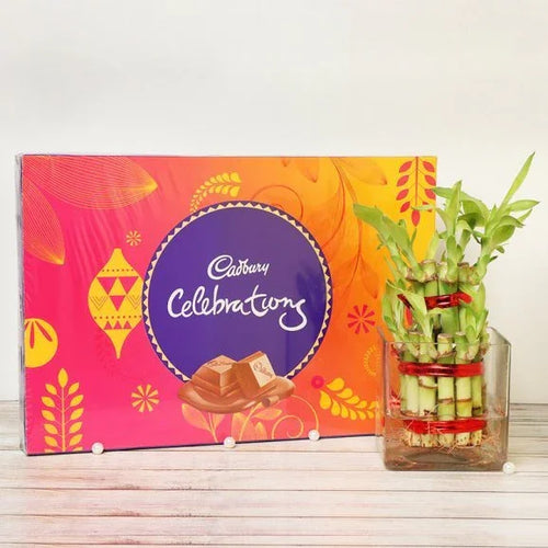 Cadbury Celebrations chocolate box with a bamboo plant in a glass vase on a wooden surface.
