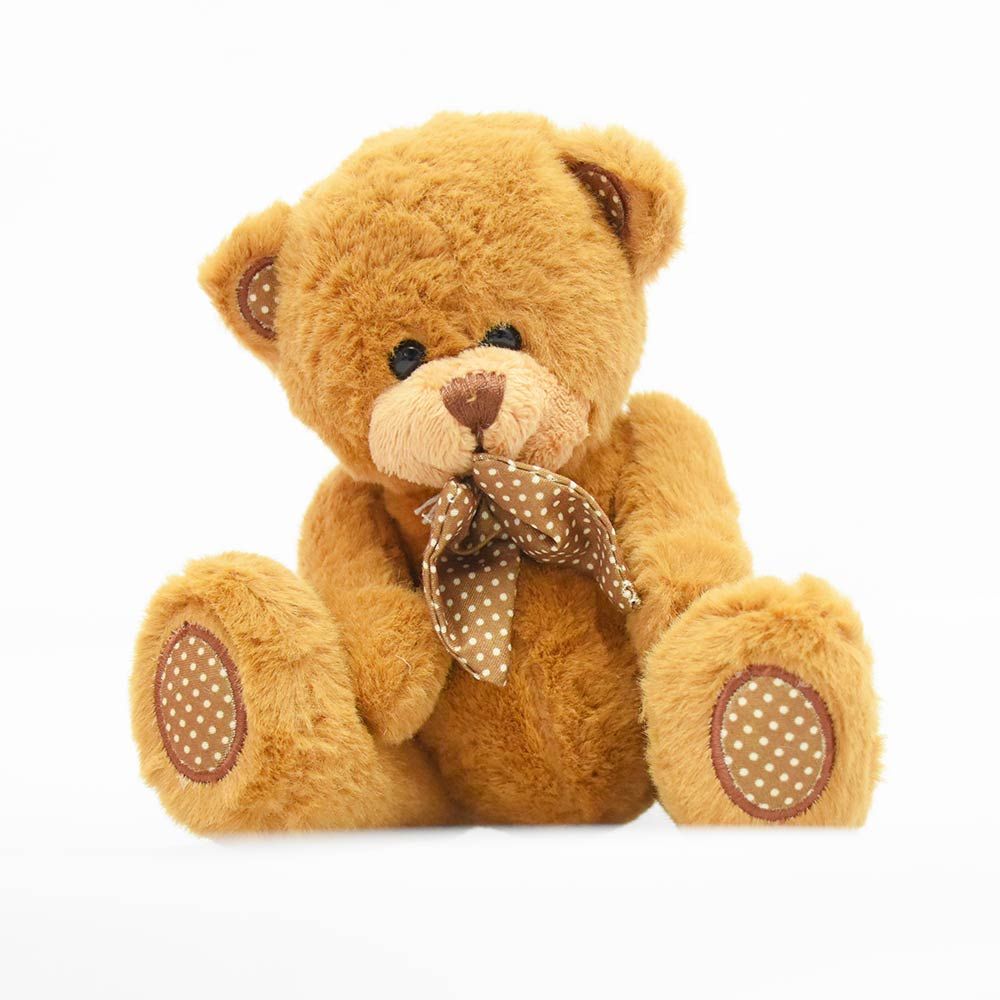12 Inch Adorable Teddy Bear Surprise