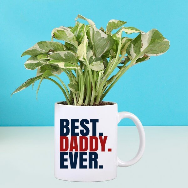 Pothos Plant In Best Dad Ever Mug
