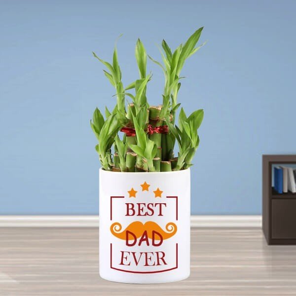 Best Dad Personalised Mug with 2 Layer Bamboo