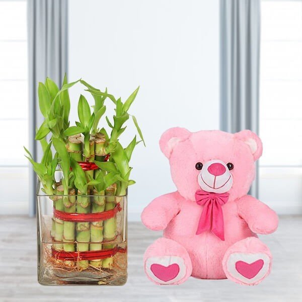 2 Layer Bamboo With Teddy