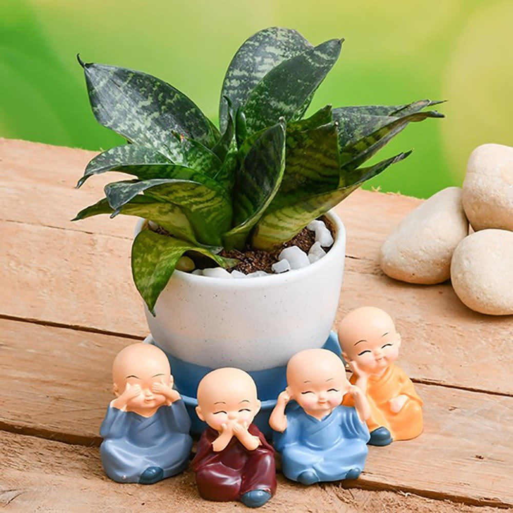 Sansevieria In A Ceramic Pot And Cute Monks