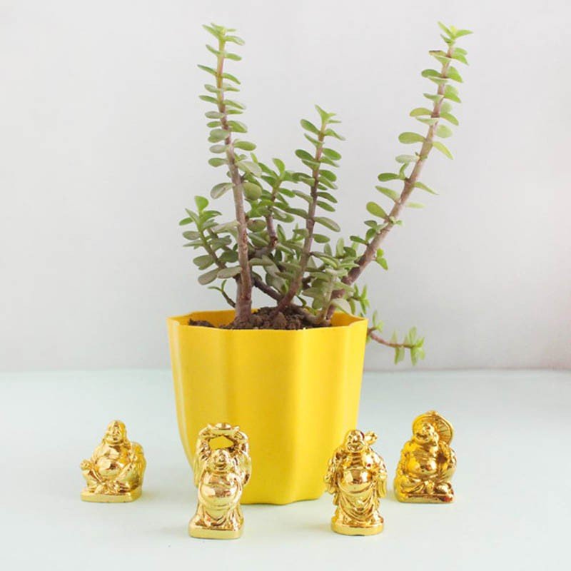 Blissful Jade Plant with Laughing Buddha