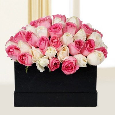Peaceful Pink N White Roses