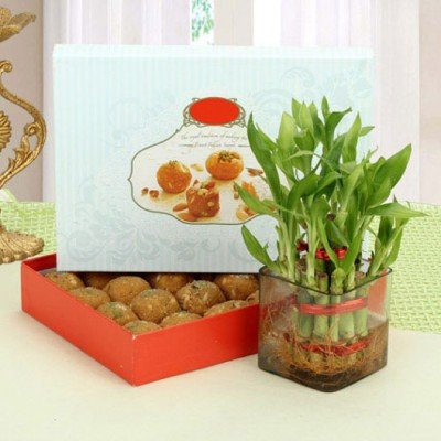 BESAN LADDOO WITH LUCK WISHES