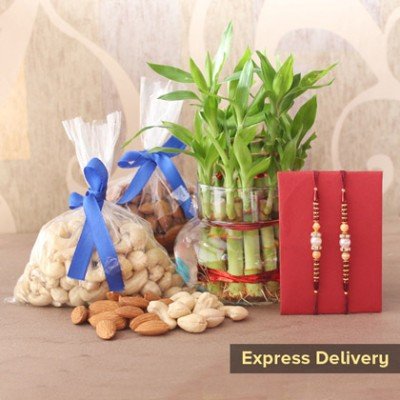 Rakhi with Plants Online Delivery - Affectionate Bond