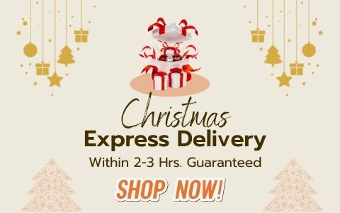 Christmas Express Gifts