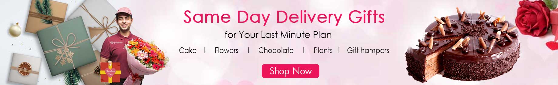 one day delivery gifts