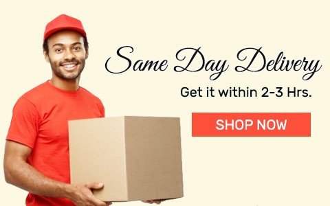 Same Day Delivery Gifts Online India